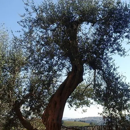 Agriturismo Cor Di Bezzolo *